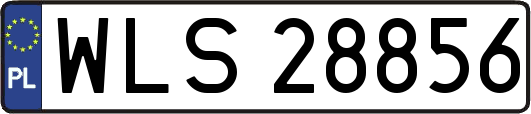 WLS28856