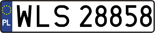 WLS28858