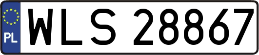 WLS28867