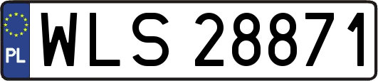 WLS28871