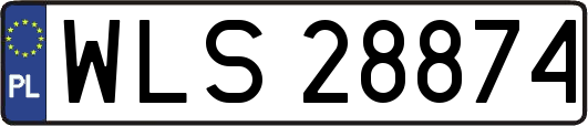 WLS28874