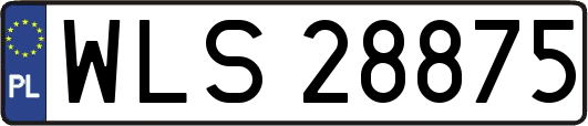 WLS28875