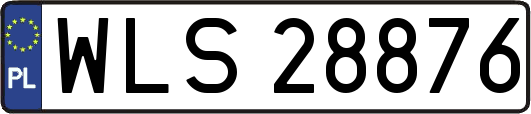 WLS28876