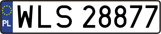 WLS28877