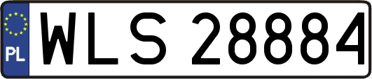 WLS28884