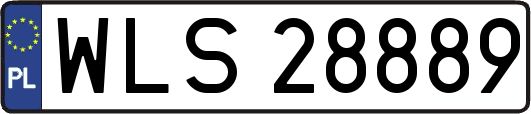 WLS28889
