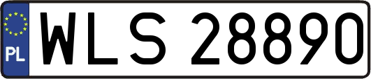WLS28890