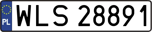 WLS28891