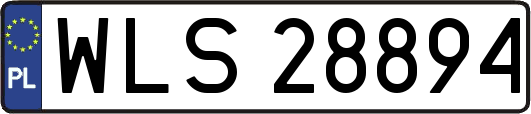 WLS28894