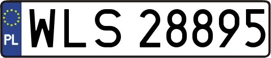 WLS28895