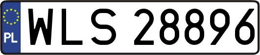 WLS28896