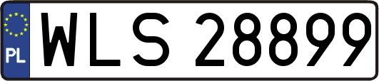 WLS28899