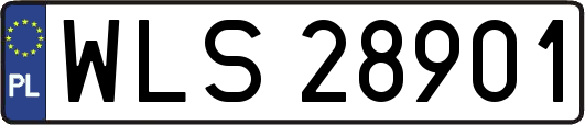 WLS28901