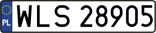 WLS28905