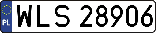 WLS28906