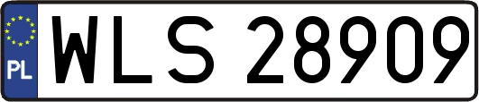 WLS28909