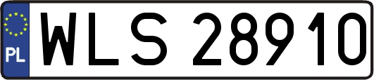 WLS28910