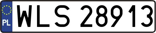 WLS28913