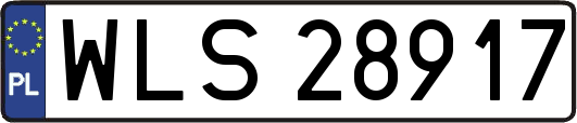 WLS28917