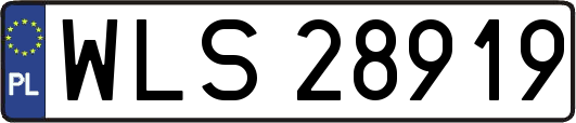 WLS28919