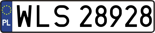 WLS28928
