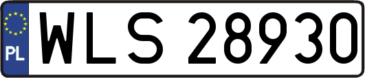 WLS28930