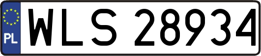 WLS28934