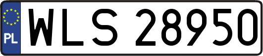 WLS28950