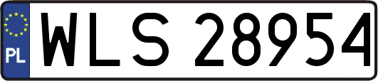 WLS28954