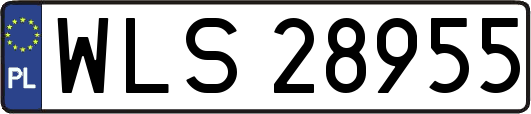 WLS28955