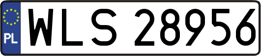 WLS28956
