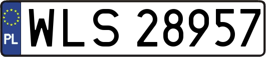 WLS28957