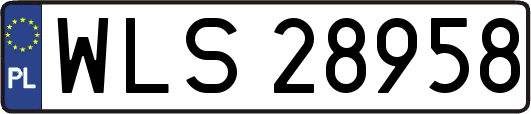WLS28958