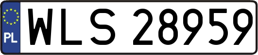 WLS28959