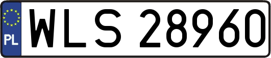 WLS28960