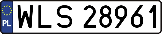 WLS28961