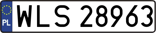 WLS28963