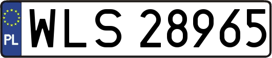WLS28965