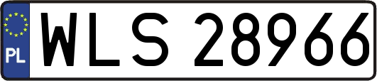 WLS28966
