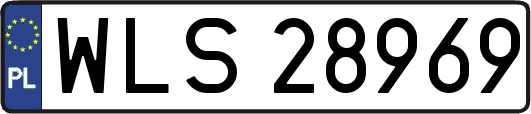 WLS28969