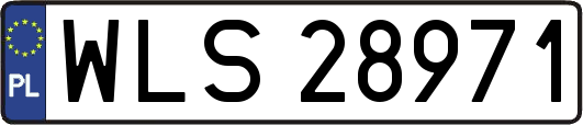 WLS28971