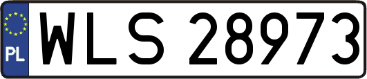 WLS28973