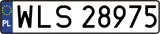 WLS28975