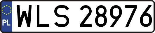 WLS28976