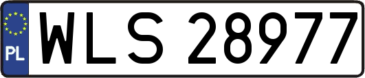 WLS28977