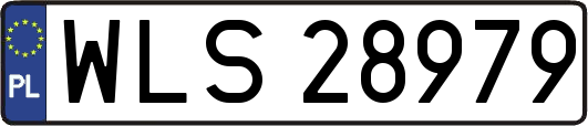 WLS28979