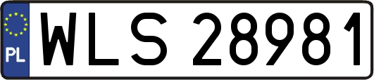 WLS28981