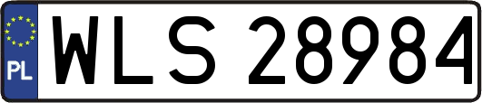 WLS28984