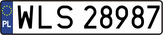 WLS28987