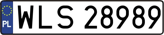 WLS28989